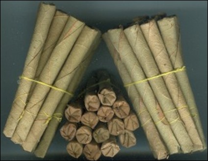 Сигареты на шри ланке. Биди Шри Ланка. Бамбуковые сигареты. Бамбуковые сигары. Сигареты из бамбука.