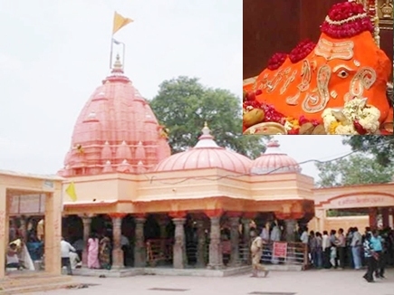 Devotees can get Ladoo Prasad from Til Chaturthi at Chintaman Ganesh temple ujjain