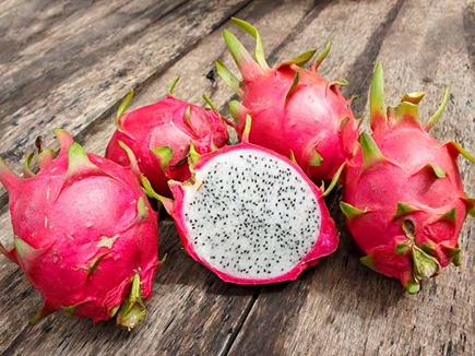 Plant Of A Dragon Fruit Brought From Thailand Now Production Reached In Millions Rupees