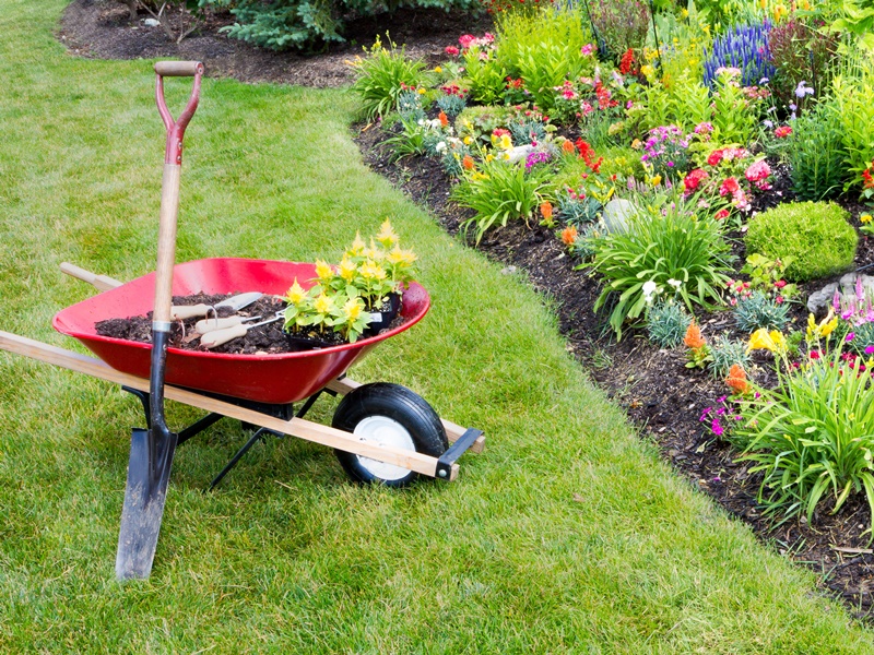 Hobby Of Gardening People Come From Far And Wide To See Their Garden