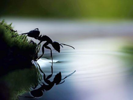 ये 8 उपाय कर्ज में डूबने से बचाएं तो क्यों न इन्हें आजमाएं