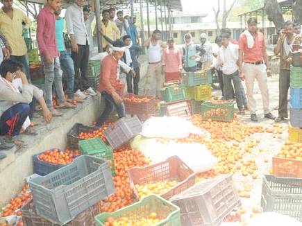 Controversy Over Tomato Trucks Not Sold In Hot Market