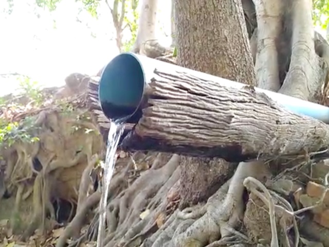 People Are Getting Water From The Root Of Tree 4 Villages Are Using This Water