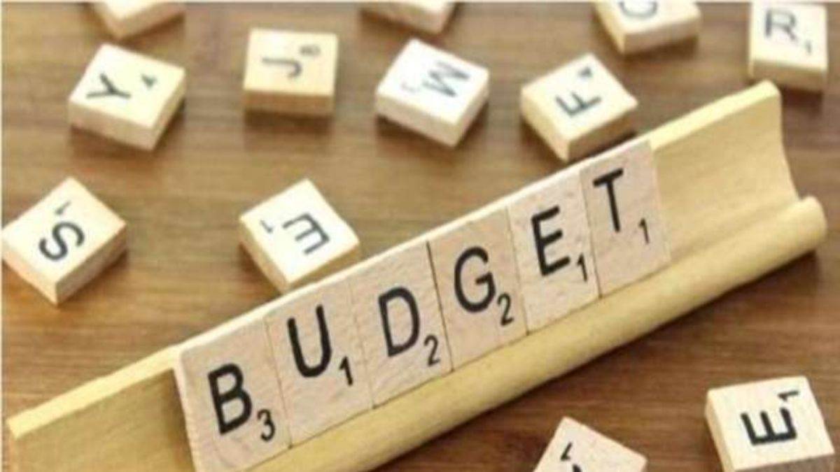 CG Budget 2023: कांग्रेस नेताओं ने कहा- चुनावी घोषणा की तरह बजट में किए गए वादे