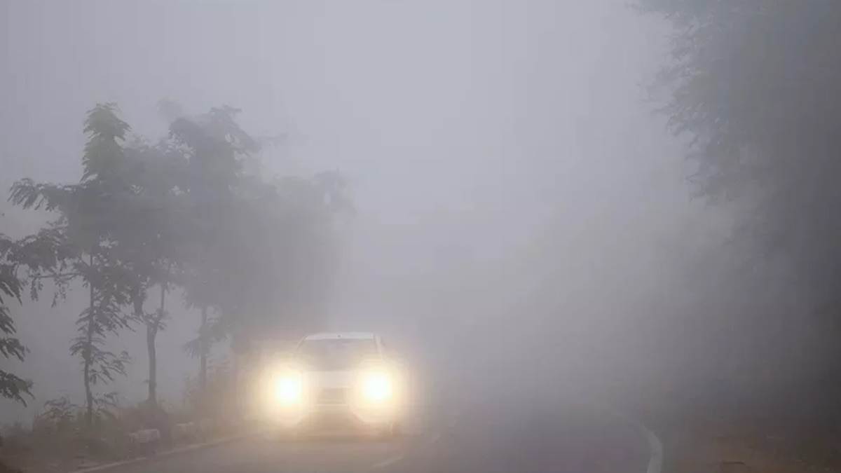 MP Weather Update: सर्द हवाओं ने बढ़ाई सिहरन, मध्‍य प्रदेश में शीतलहर चलने के आसार