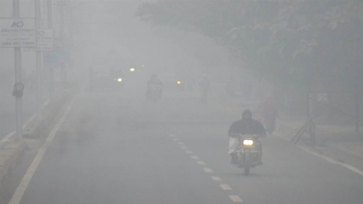 Gwalior Fog And Cold News: कोहरे की दस्तक से नहीं निकली धूप, सुबह बढ़ी ठंड, आज से आएगी तापमान में गिरावट