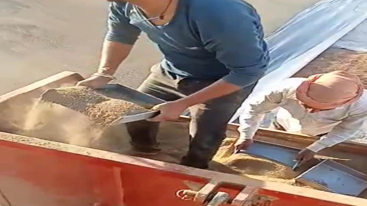 Satna News : समर्थन मूल्य पर खरीदे गेहूं का वजन बढ़ाने के लिए मिलाई रेत और धूल