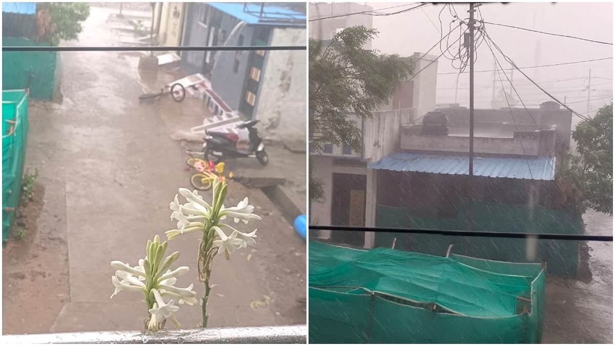 सीहोर में मौसम बदला, तेज हवा, बारिश के साथ ओले गिरे, खेतों में पड़ी फसल को नुकसान की आशंका