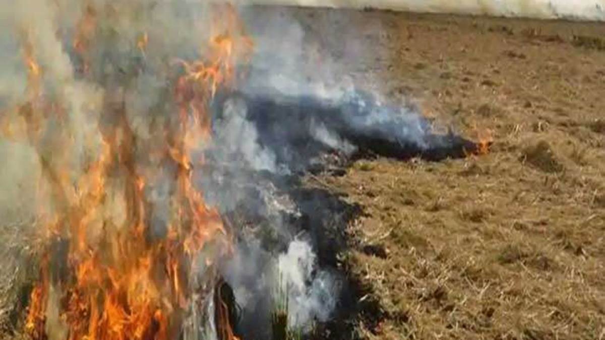Balod News: खेत में मिली बुजुर्ग महिला की अधजली लाश, पराली जलाते वक्त आग की चपेट में आने की आशंका