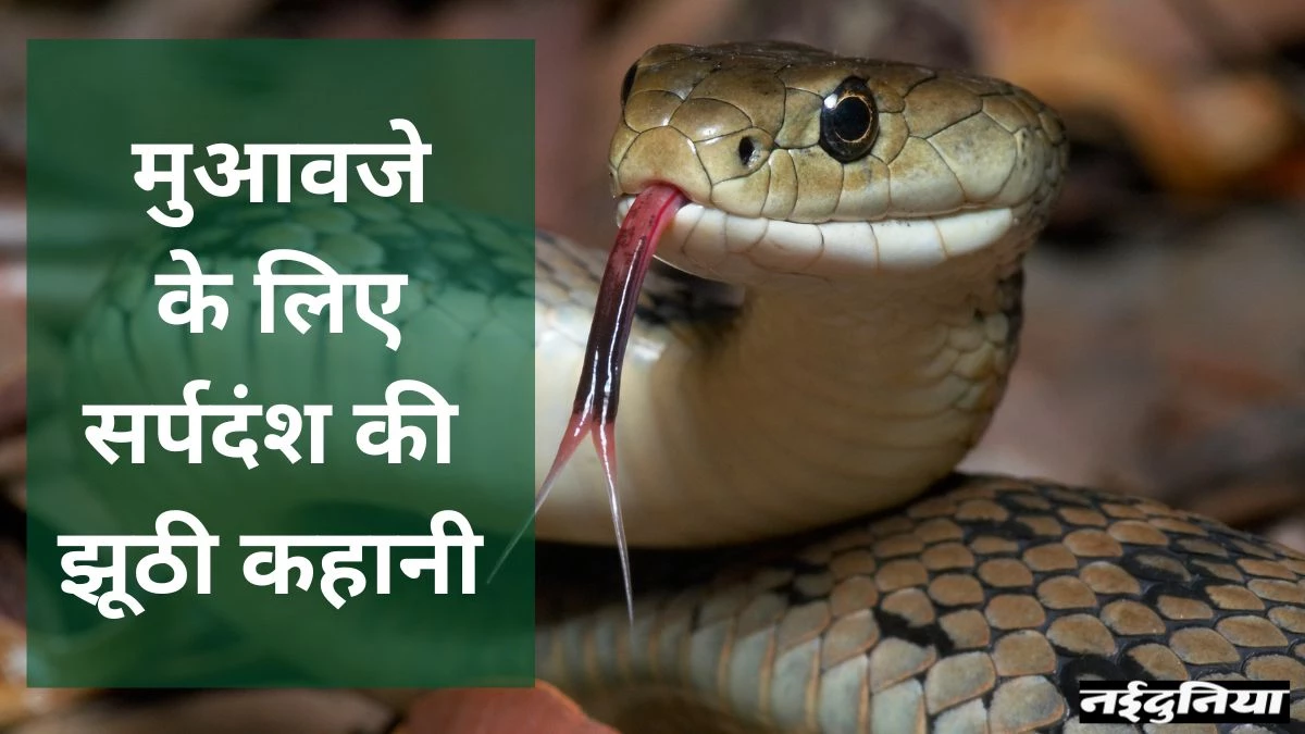 Bilaspur News: सरकारी मुआवजे के लिए बोला झूठ, अब पुलिस ने खोद डाली कब्र