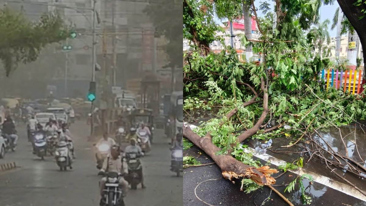 धूल भरी आंधी से थमा इंदौर, 100 किमी प्रतिघंटा की रफ्तार से चली हवा; कई पेड़ और होर्डिंग गिरे
