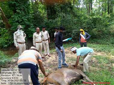 Balaghat News स भर क श क र करन व ल क त त ह पह च ए ग श क र य तक त न ग व म तल श ज र Naidunia Com