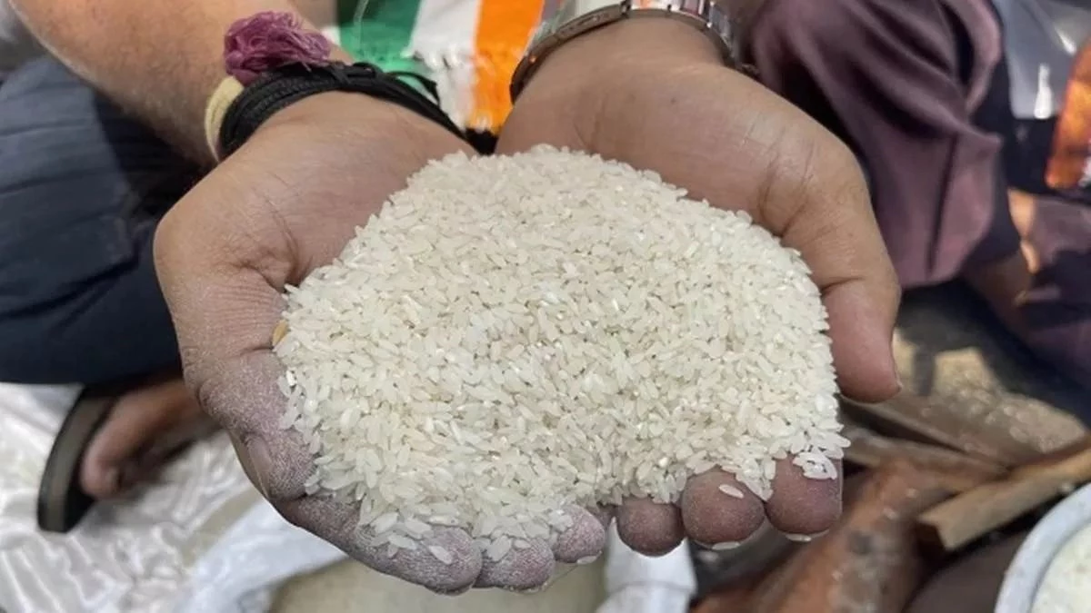 CG News: आधे रास्ते में अटकी 'चावल उत्सव' स्कीम, 51 प्रतिशत लोग खाली हाथ, सरकार ने बढ़ाई समय-सीमा