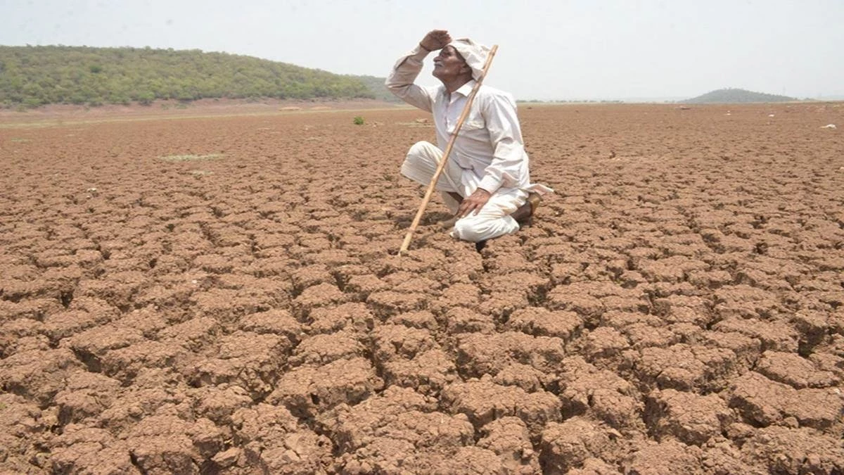 Drought in MP: मध्‍य प्रदेश के 10 जिलों में मंडरा रहा है गंभीर सूखे का खतरा