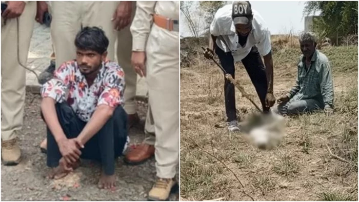 अंधविश्वास के चक्कर में तीन सियारों को बेरहमी से मारा, वीडियो भी बनाया; उज्जैन पुलिस ने पकड़ा