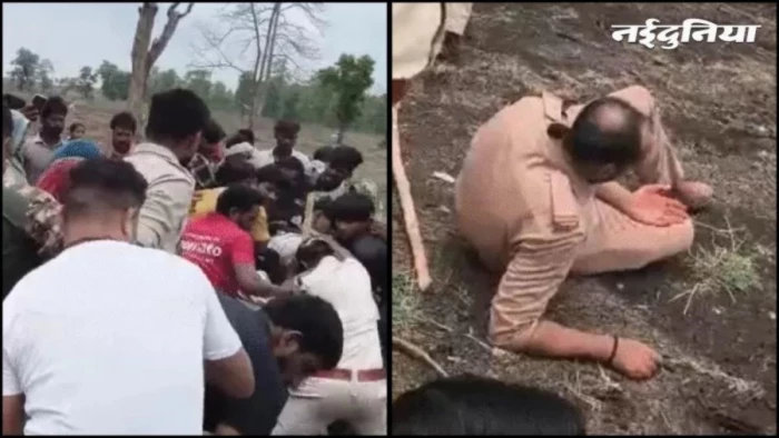 मप्र में जंगलराज: 14.21 लाख एकड़ वन भूमि पर भू-माफिया का कब्जा; सवाल सुनते ही वन राज्य मंत्री दिलीप अहिरवार ने काटा फोन
