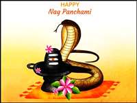 Nag Panchami 2022 Muhurat: नाग पंचमी की पूजा के लिए ढ़ाई घंटे का शुभ मुहूर्त, करें ये खास उपाय