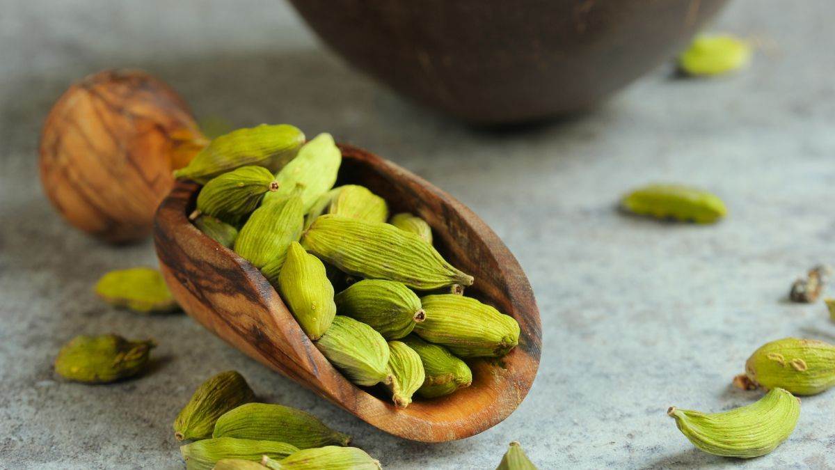 Cardamom Benefits: एक महीने तक सुबह लगातार करें इलायची का सेवन, एसिडिटी की  समस्या से मिलेगी राहत - Cardamom Benefits Consume cardamom continuously in  the morning for a month you will get