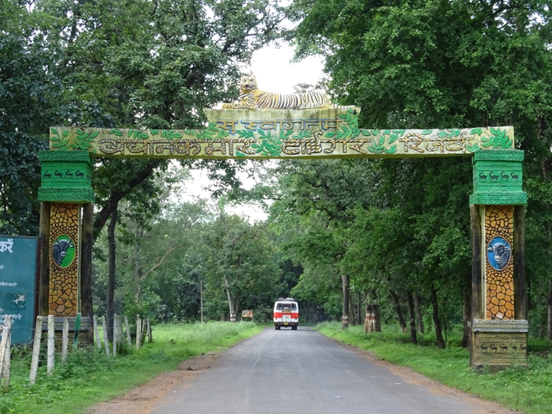 Achanakmar Tiger Reserve News: अचानकमार टाइगर रिजर्व के सभी बैरियर होंगे  हाईटेक - Achanakmar Tiger Reserve News All barriers of Achanakmar Tiger  Reserve will be hi tech