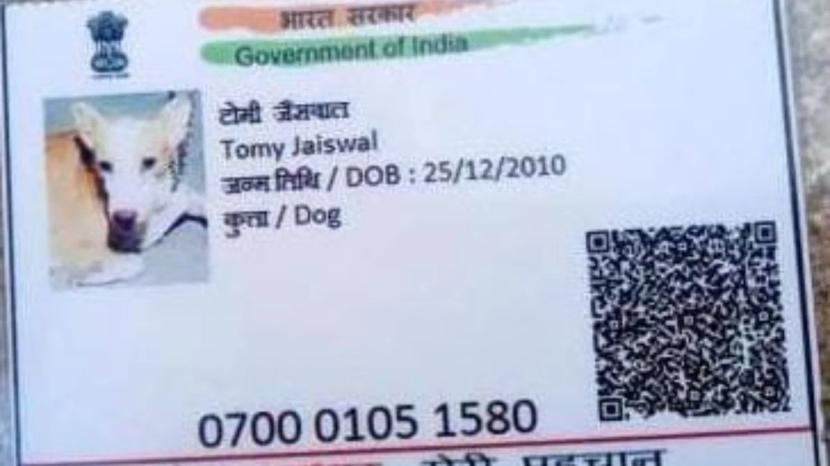 ग्वालियर में कुत्ते का आधार कार्ड वायरल... नाम टॉमी, पालनकर्ता कैलाश, नंबर ने खोला राज