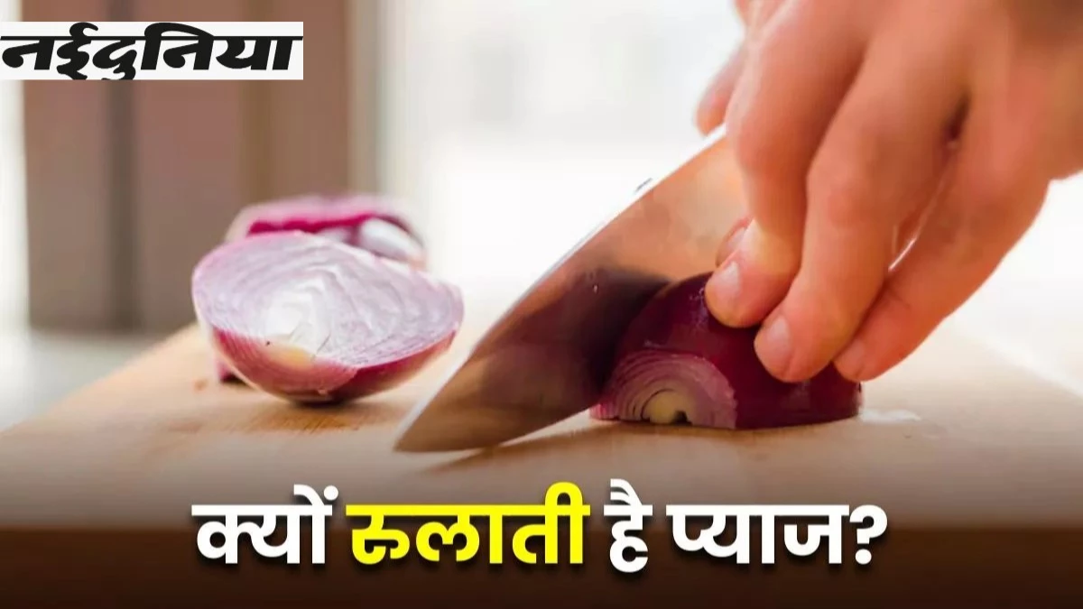 प्याज काटते समय क्यों निकलते हैं आंसू? जानें इसके पीछे की Scientific वजह