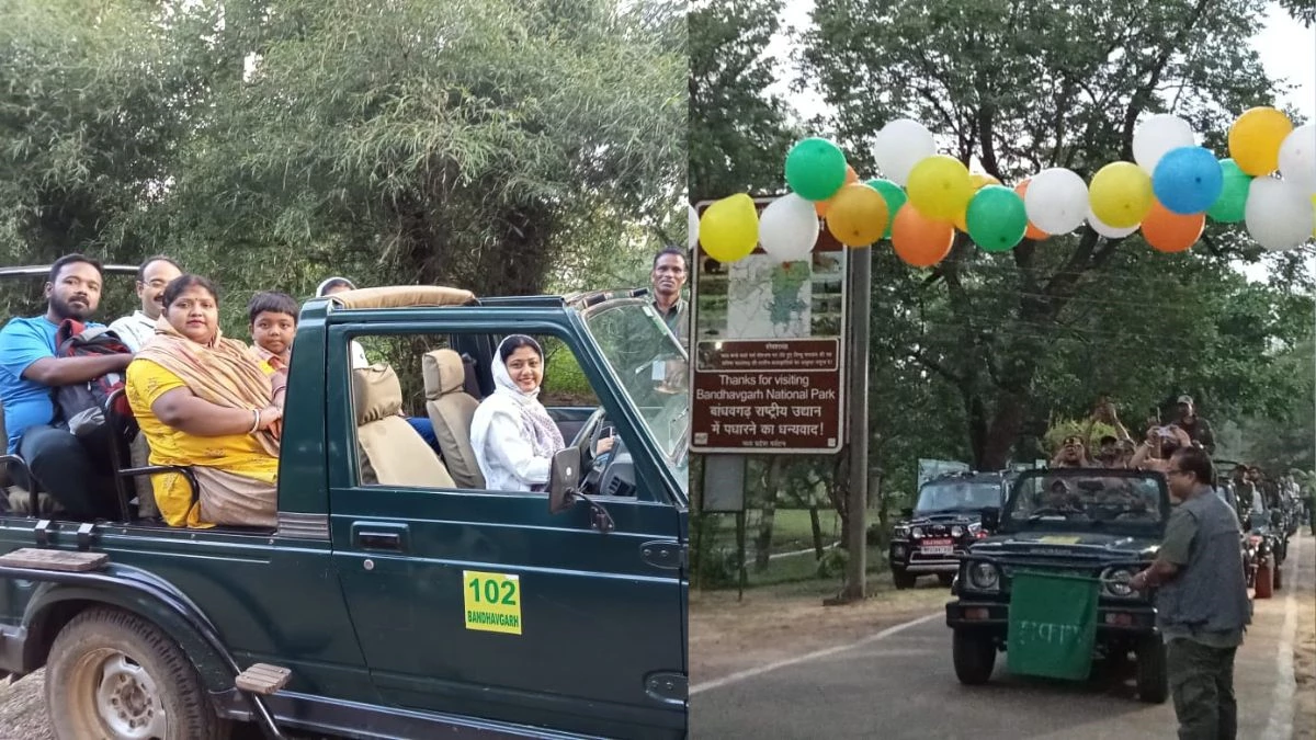 पर्यटन सत्र की शानदार शुरुआत... बांधवगढ़ के तीन गेट से 75 जिप्सियों में पहुंचे 350 टूरिस्ट
