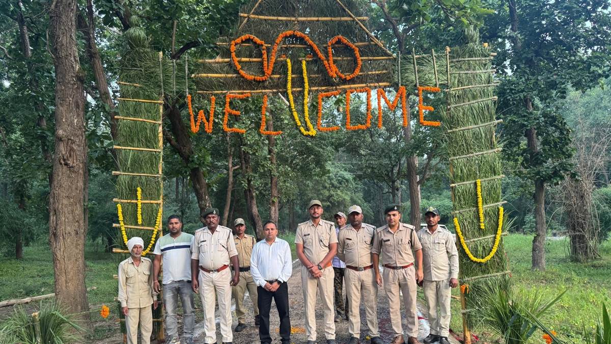 बांधवगढ़ में सफारी सीजन शुरू, ताला-मगधी-खितौली गेट खुले; पहले दिन बाघिन के दीदार से पर्यटकों का दिन बना खास