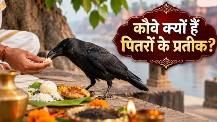 पितृ पक्ष में कौवे को खाना क्यों खिलाया जाता है? जानें क्या है इसकी पौराणिक कथा