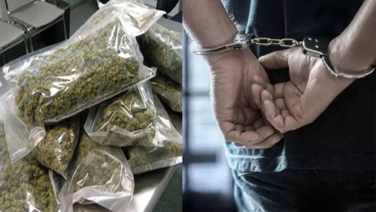 रायपुर में साड़ी बेचने के बहाने कर रहे थे नशे की तस्करी, 70 किलो गांजे के साथ पांच तस्कर गिरफ्तार