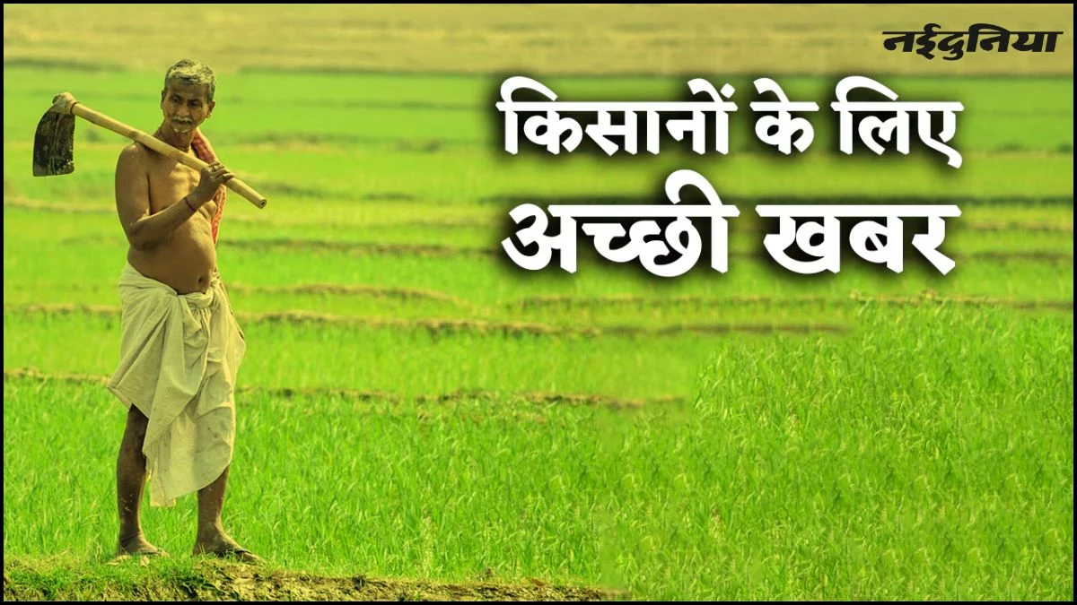 MP के किसानों के लिए अच्छी खबर... 16 जिलों में 6 नवंबर तक धान का रजिस्ट्रेशन करा सकेंगे किसान