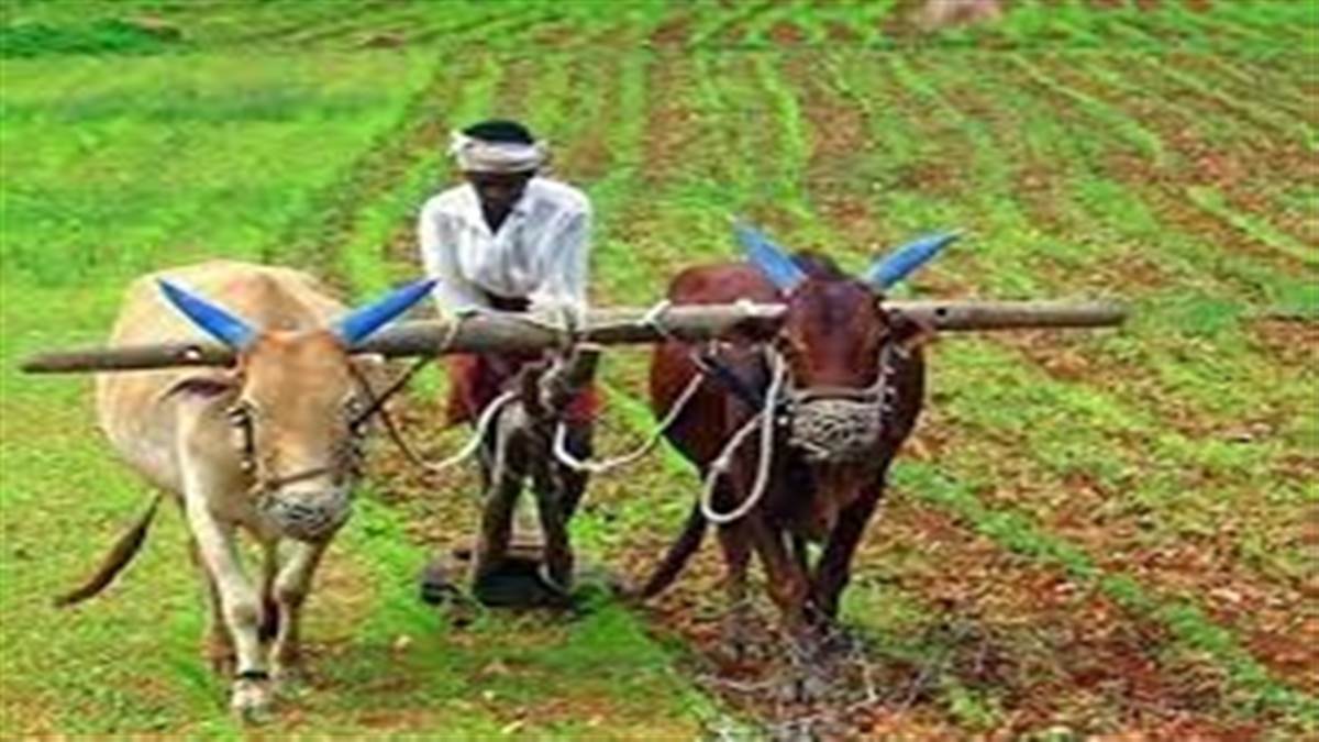 Jabalpur News : दिल्ली के राम लीला मैदान में आयोजित होगी भारतीय किसान संघ की गर्जना रैली, किसान नेताओं ने कहा किसानों को नहीं मिल रहा उनकी मेहनत का वाजिब हक