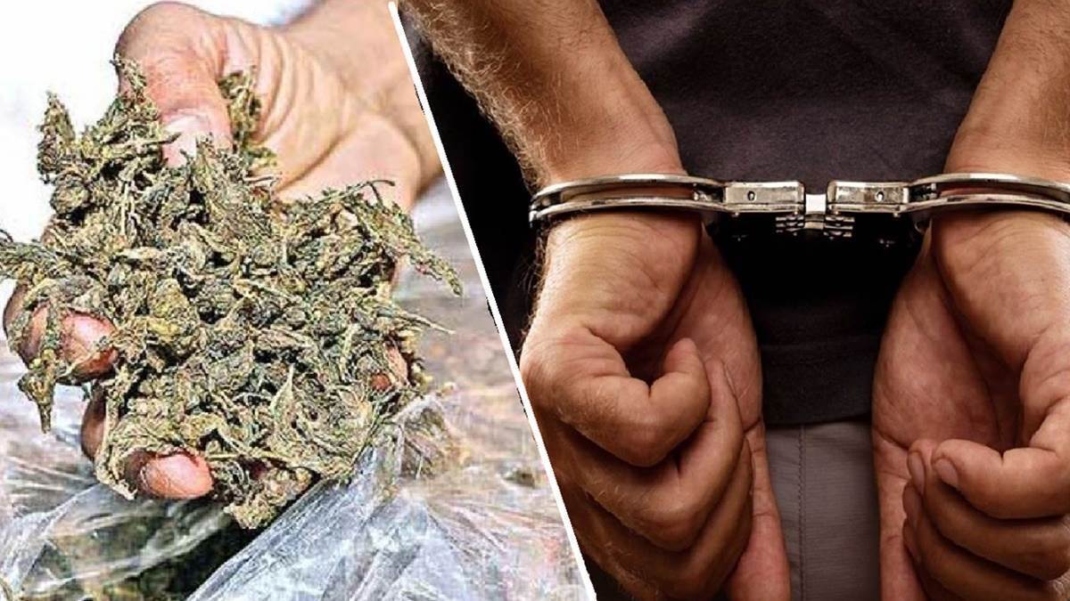 रावण आटो दुकान में अवैध गांजा कारोबार का पर्दाफाश, 310 पाउच गांजा के साथ महिला गिरफ्तार