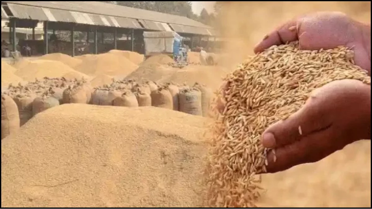 'हर किसान का धान खरीदा जाए...', खरीद को लेकर सीएम योगी ने अधिकारियों को दिए सख्त निर्देश