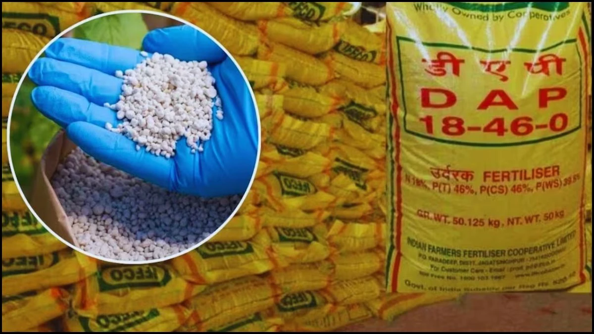 किसानों के लिए बड़ी राहत, जल्द लागू होगा ऑनलाइन टोकन सिस्टम, खाद की लंबी कतारों से मिलेगी मुक्ति