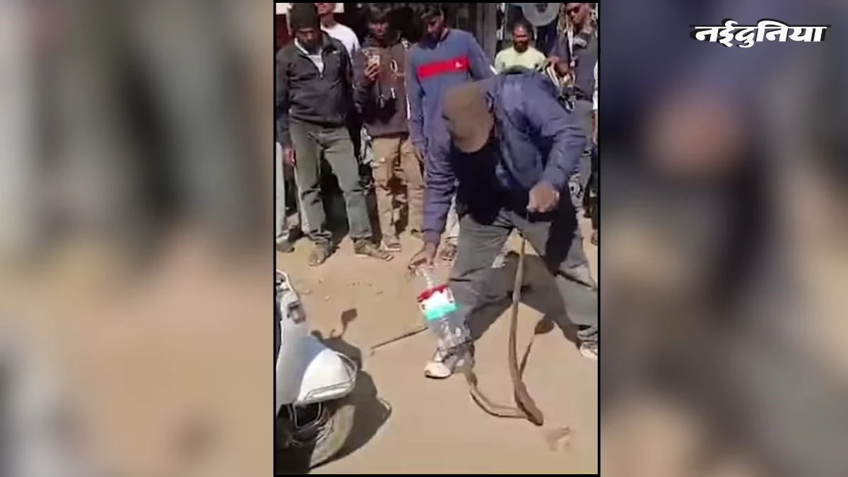 स्कूटी के अंदर बैठा था जहरीला नाग, सर्प मित्र ने उसी गाड़ी को 3KM चलाकर पहुंचाया गैरेज, रोंगटे खड़े कर देगा हैरतअंगेज रेस्क्यू