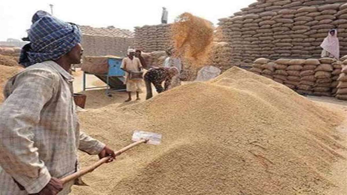 Bilaspur News: बिलासपुर के चार हजार किसान नहीं बेच पाए धान