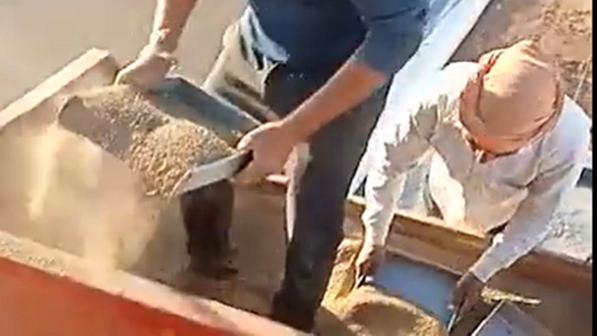 Satna Crime News : गेहूं में रेत-मिट्टी के मिलावट मामले में छह के विरुद्ध मामला दर्ज, वायरल हुआ था वीडियो