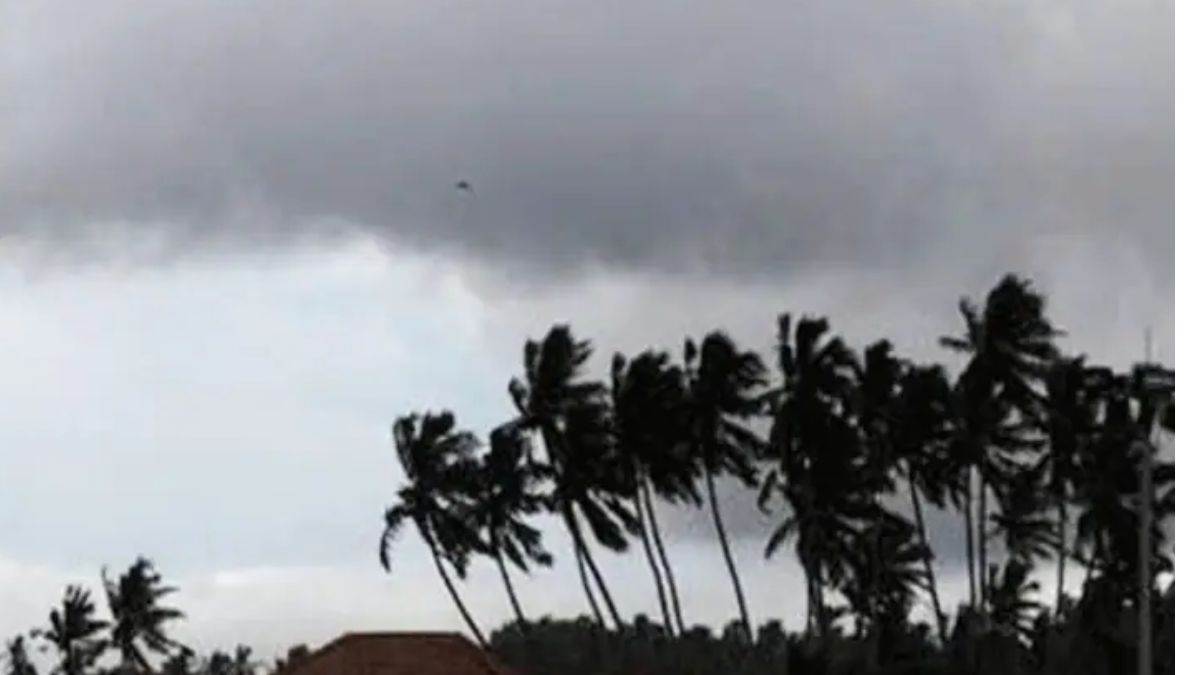 Weather News: दो-तीन दिन चलेगी ठंडी हवा, अगले 10 दिन नहीं होगी बारिश, पढ़ें IMD का लेटेस्ट अपडेट