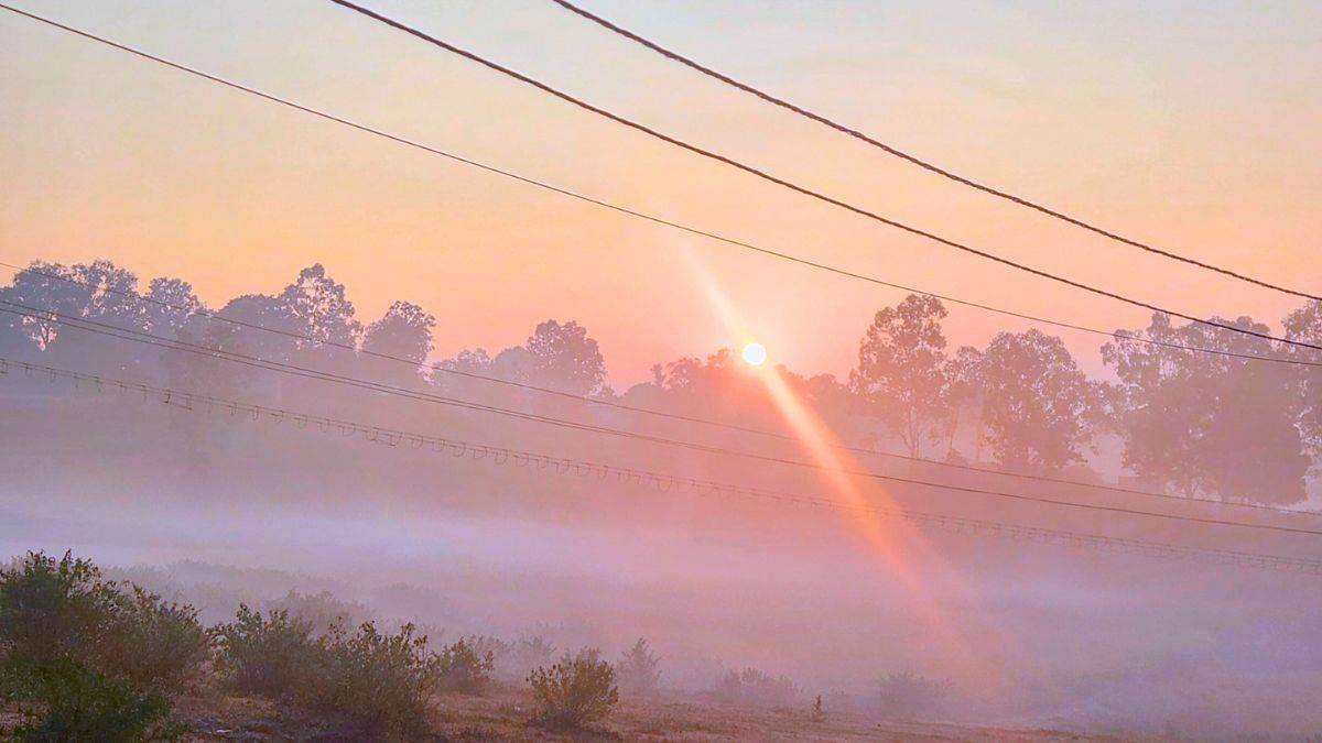CG Weather Update: अगले 5 दिनों तक प्रदेश का मौसम रहेगा शुष्क, तापमान सामान्य से ऊपर; सुबह-शाम ठंड बरकरार