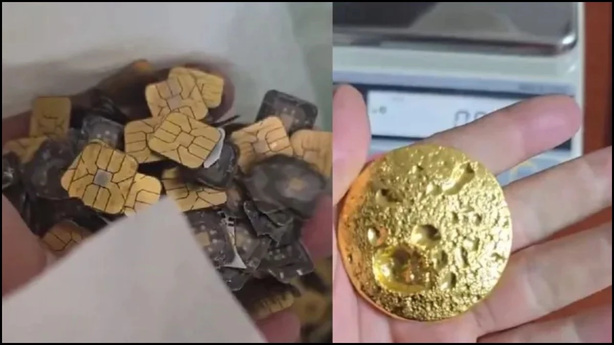 सिम कार्ड बना 'कुबेर' का खजाना, चीनी शख्स ने 2 टन ई-वेस्ट से निकाला 191 ग्राम सोना, कीमत जान उड़ जाएंगे होश