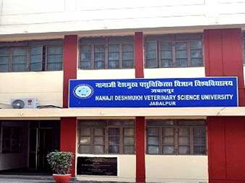 Jabalpur veterinary university: वेटरनरी के विद्यार्थी अब मेपकॉस्ट के साथ मिलकर करेंगे शोध