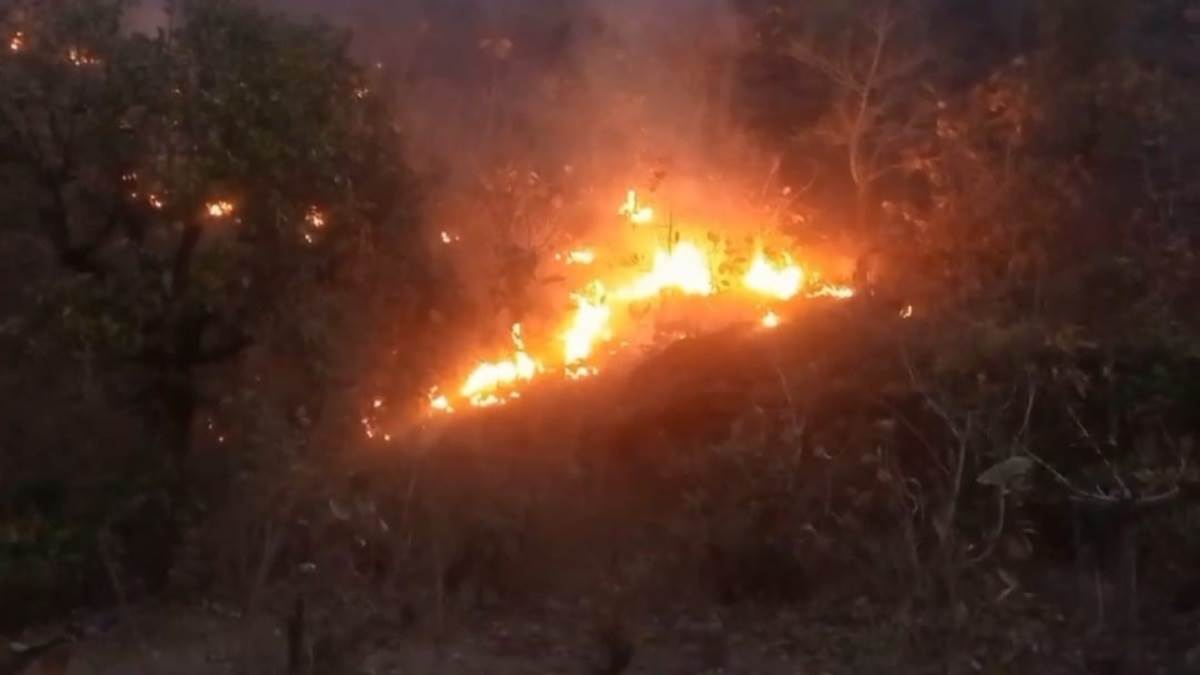 Vidisha News: ग्यारसपुर के जंगलों में फिर लगी आग, बुझाने में जुटा अमला