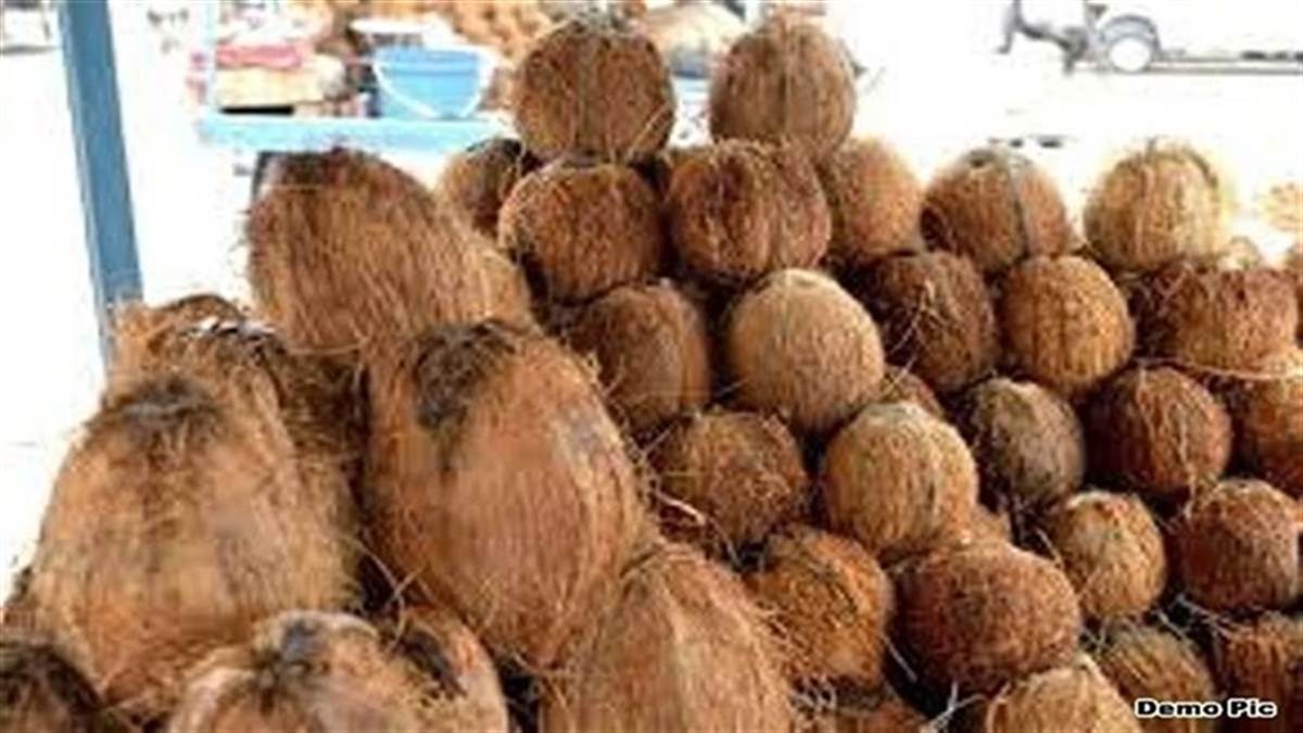 Indore Kirana Bazar Charge: नवरात्र पूर्व की लेवाली बढ़ने से नारियल में 100 रुपये की तेजी, इलायची और चारोली के दाम भी बढ़े