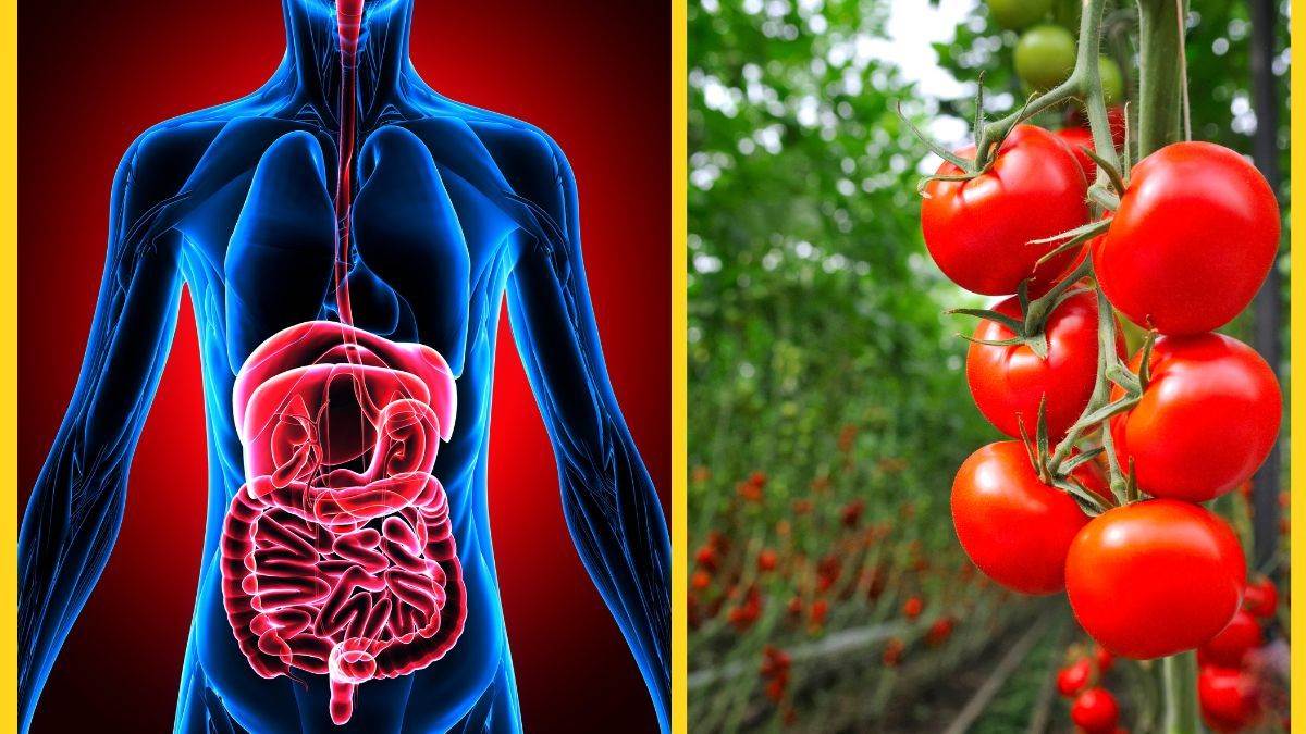 Reduce High BP हाई बीपी से परेशान हैं तो वॉकिंग के साथ रोज खाएं 2