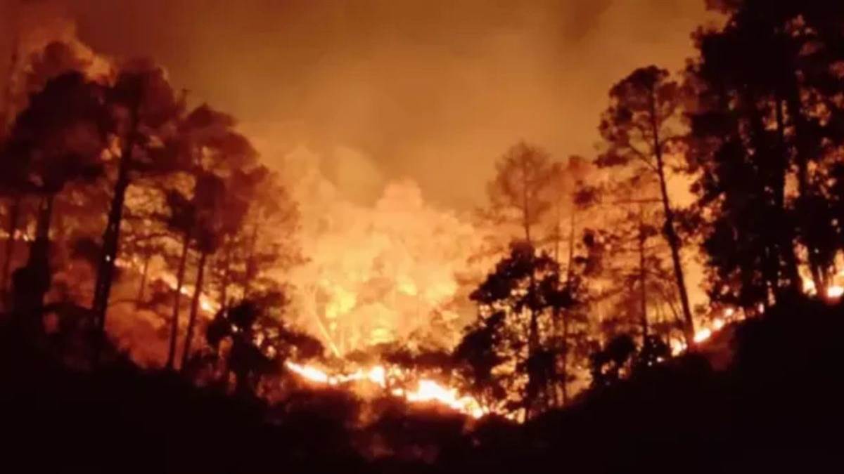 देशभर के जंगलों में आग का कहर, उत्तराखंड से आंध्र प्रदेश तक 12 राज्य धधके; मध्य प्रदेश के जंगल सबसे ज्यादा प्रभावित