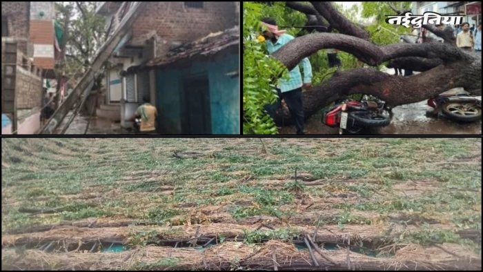 MP Weather Update: कई जिलों में तेज आंधी-बारिश, एक की मौत, 31 जिलों में अलर्ट जारी