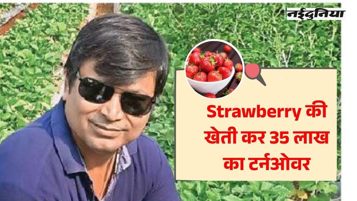 Success Story: एक एकड़ में शुरू की स्ट्राबेरी की खेती, आज टर्नओवर 35 लाख, पढ़ें प्रभात की कहानी