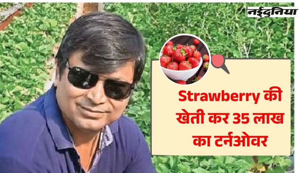Success Story: एक एकड़ में शुरू की स्ट्राबेरी की खेती, आज टर्नओवर 35 लाख, पढ़ें प्रभात की कहानी
