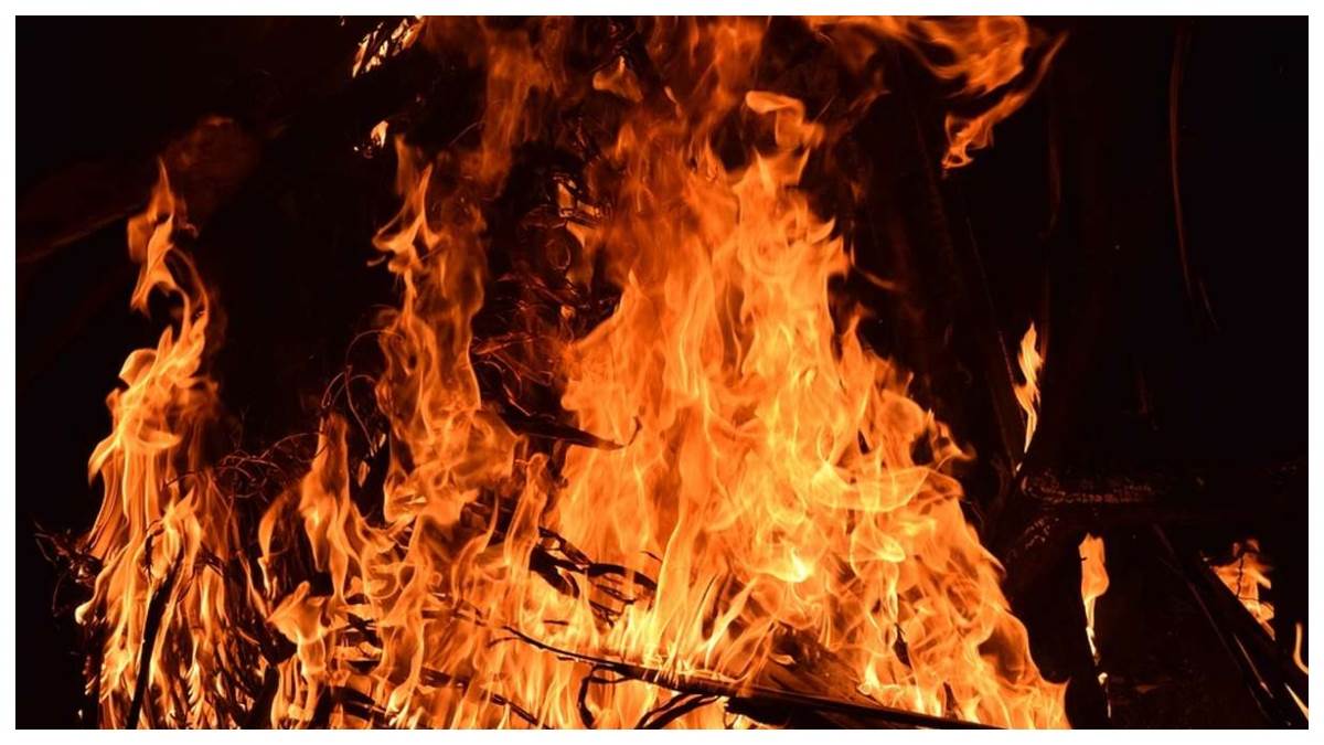 रीवा में बछड़े की टक्कर से गिरा गैस सिलेंडर, रिसाव से भड़की आग में दो लोगों की मौत; दो गंभीर रूप से झुलसे