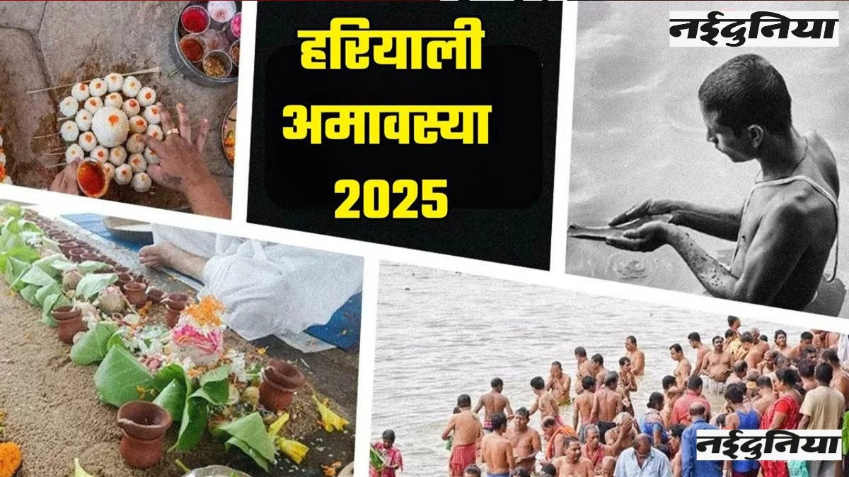Hariyali Amavasya 2025: जुलाई में हरियाली अमावस्या कब मनाई जाएगी? नोट करें शुभ मुहूर्त और योग